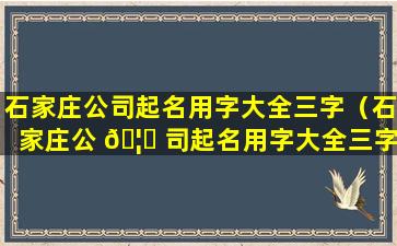 石家庄公司起名用字大全三字（石家庄公 🦊 司起名用字大全三字怎么起）